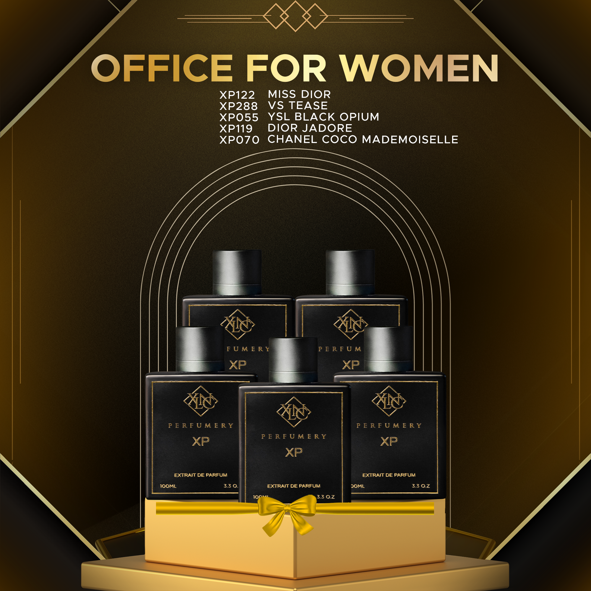 Office for Women Pack of 5