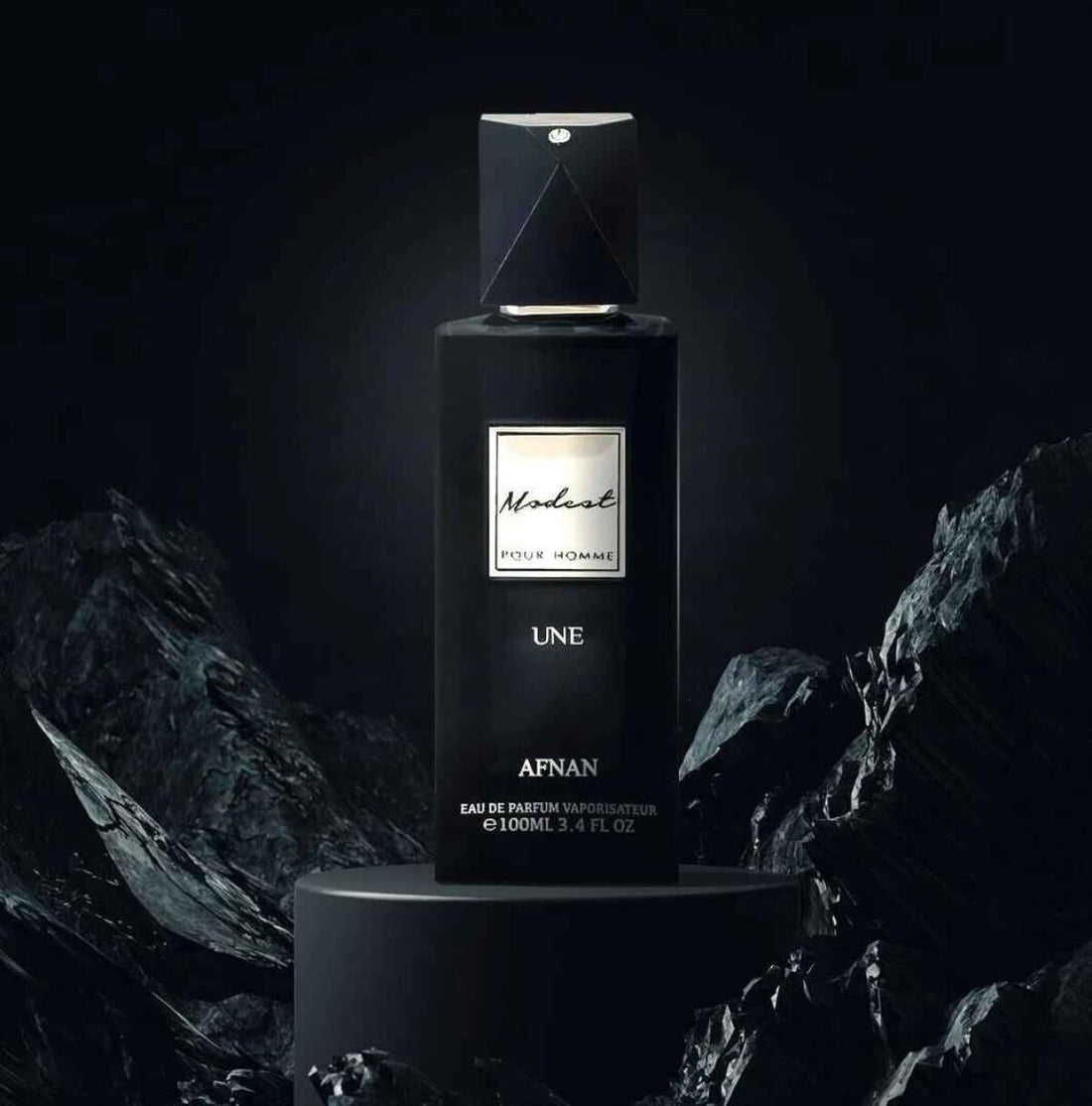 AFNAN MODEST POUR HOMME UNE (3600) Inspired By M0d3st P0ur H0mm3 Un3 Afn@n Perfumes