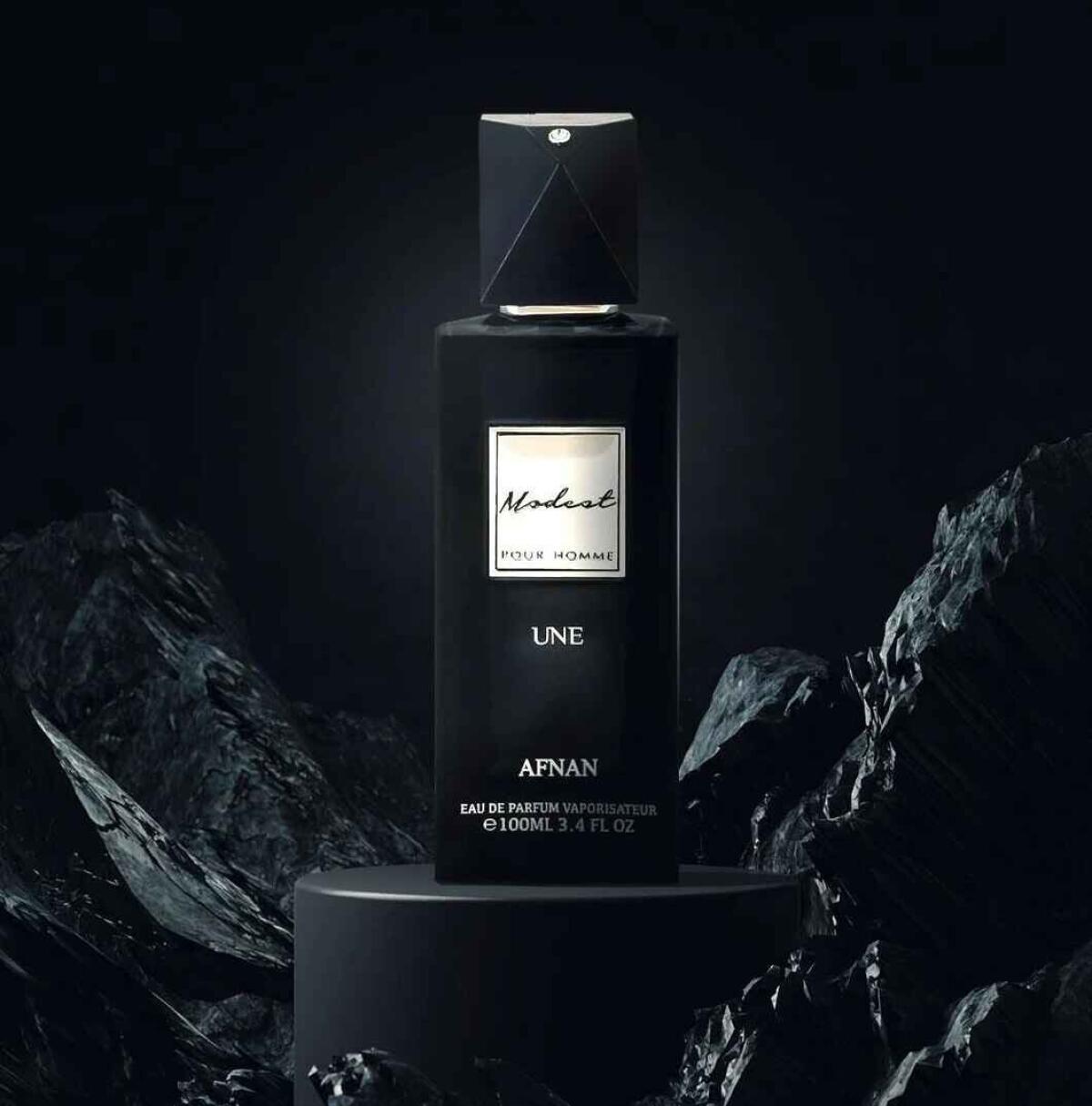 AFNAN MODEST POUR HOMME UNE (3600) Inspired By M0d3st P0ur H0mm3 Un3 Afn@n Perfumes