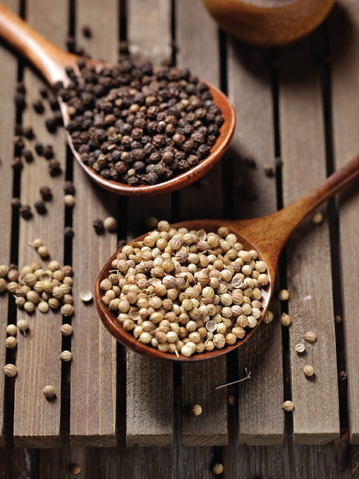 XLNC Aventus XP21 XLNC Aventus Online India XLNC Perfumery xlnc-aventus-xp21-xlnc-aventus-online-india-xlnc-perfumery