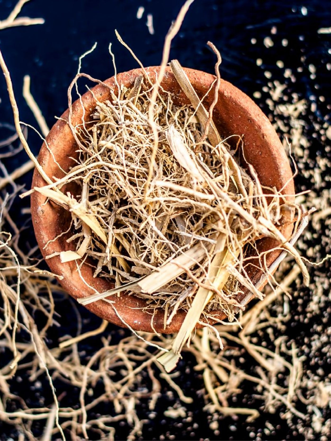 XLNC Aventus XP21 XLNC Aventus Online India XLNC Perfumery xlnc-aventus-xp21-xlnc-aventus-online-india-xlnc-perfumery