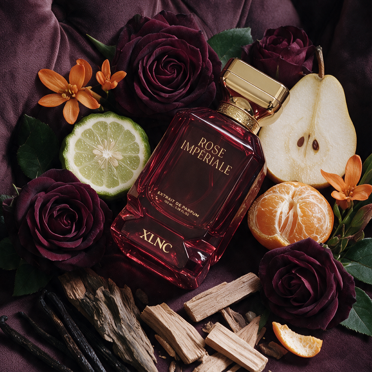 XLNC Rose Imperiale