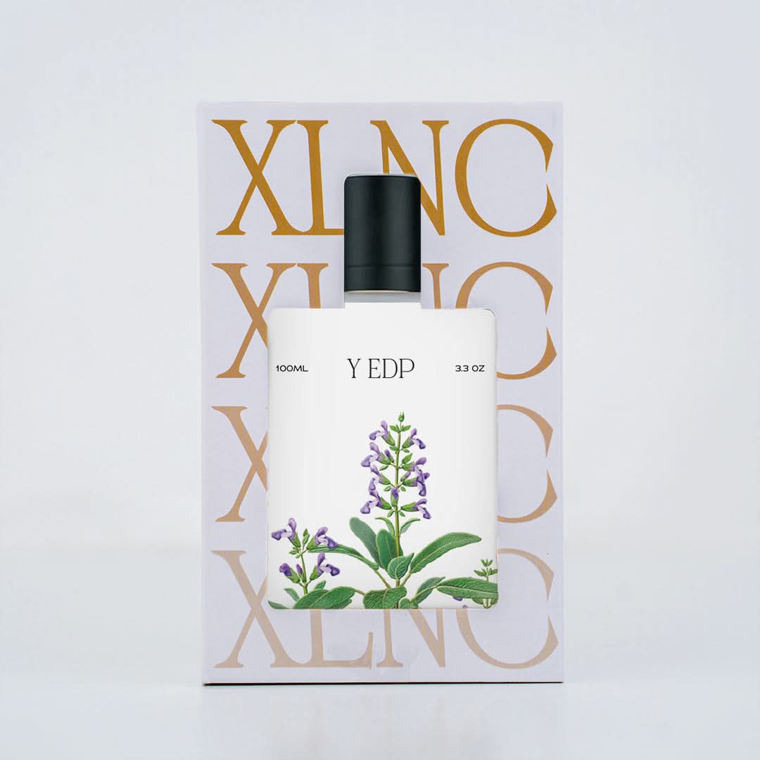 Ysl Y Edp Perfume: XP14 Inspired Perfume in India – XLNC Perfumery™️