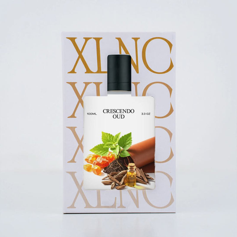 XLNC CRESCENDO OUD