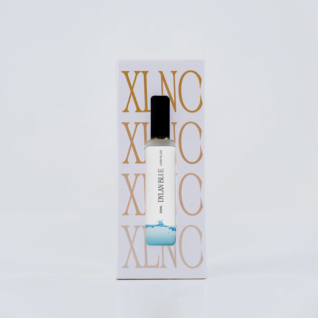 XP23 (Inspired by Vers@ce Dyl@n Blµe)