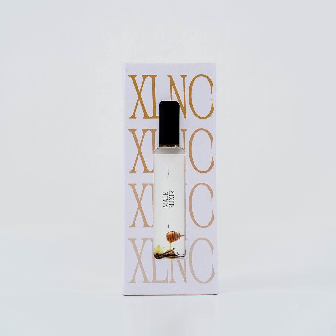 XP287 (Inspired by JPG LE MALE ELIXIR)