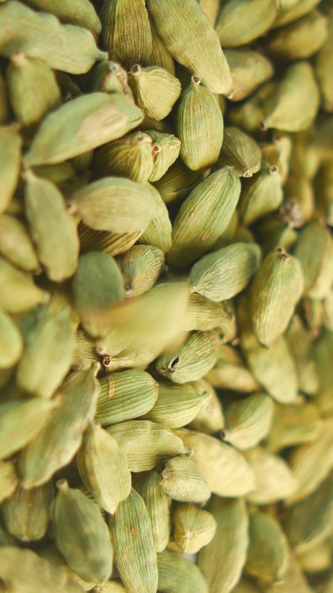 Smooth oud | Luxe Edition ( Inspired by TF 0ud W00d )