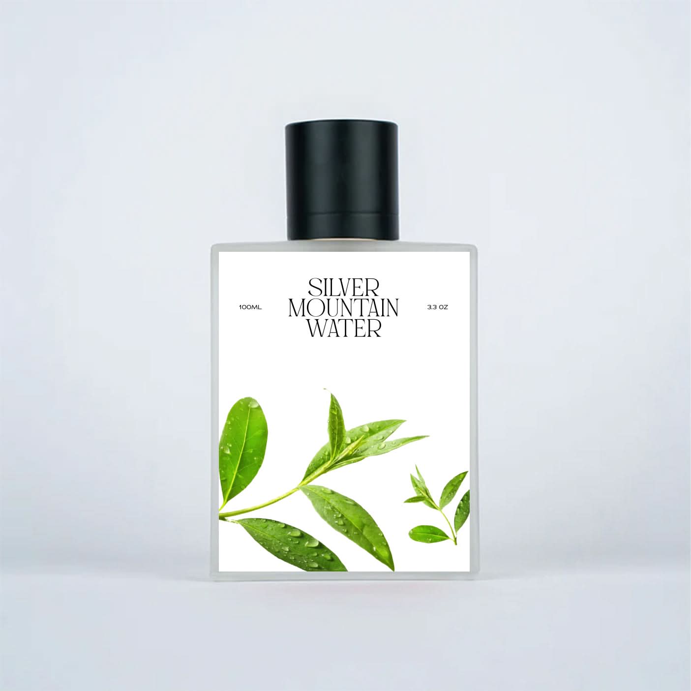 CREED⭐️シルバーマウンテン100ml ほぼ新品 0000000178432_SDkOnXl.jpg