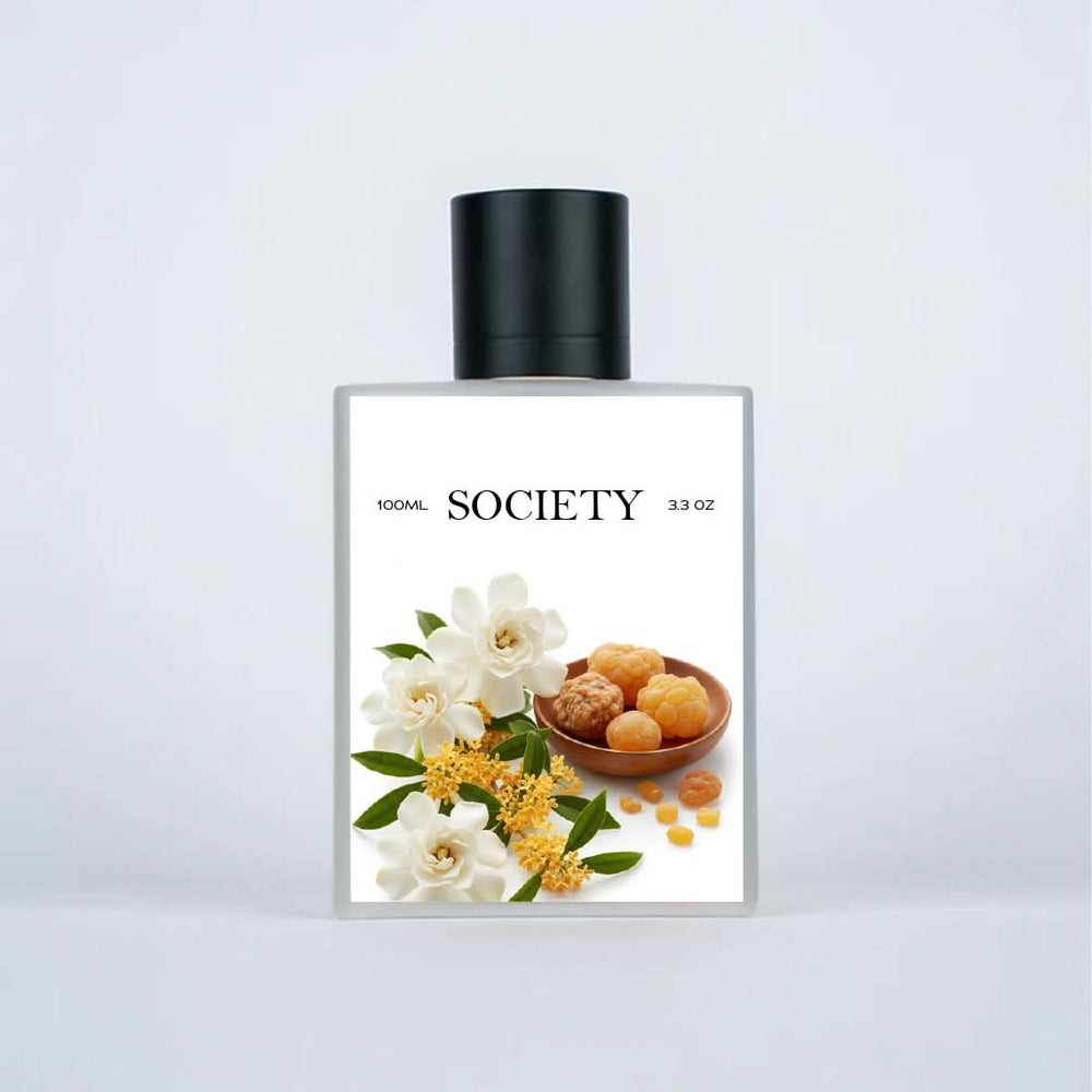 XP303 XLNC - SOCIETY