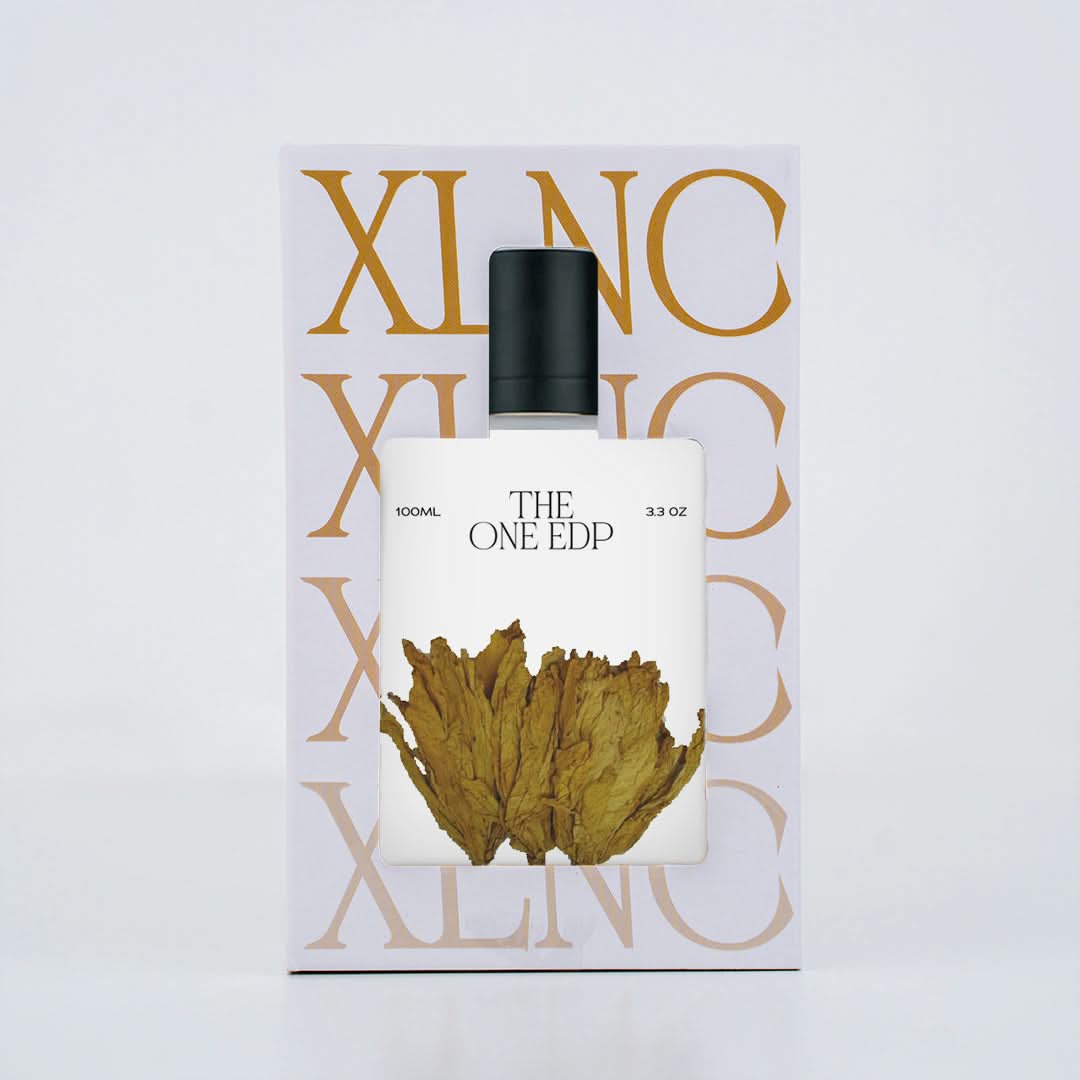 XP15 XLNC The One Edp