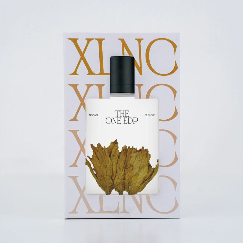 XP15 XLNC The One Edp