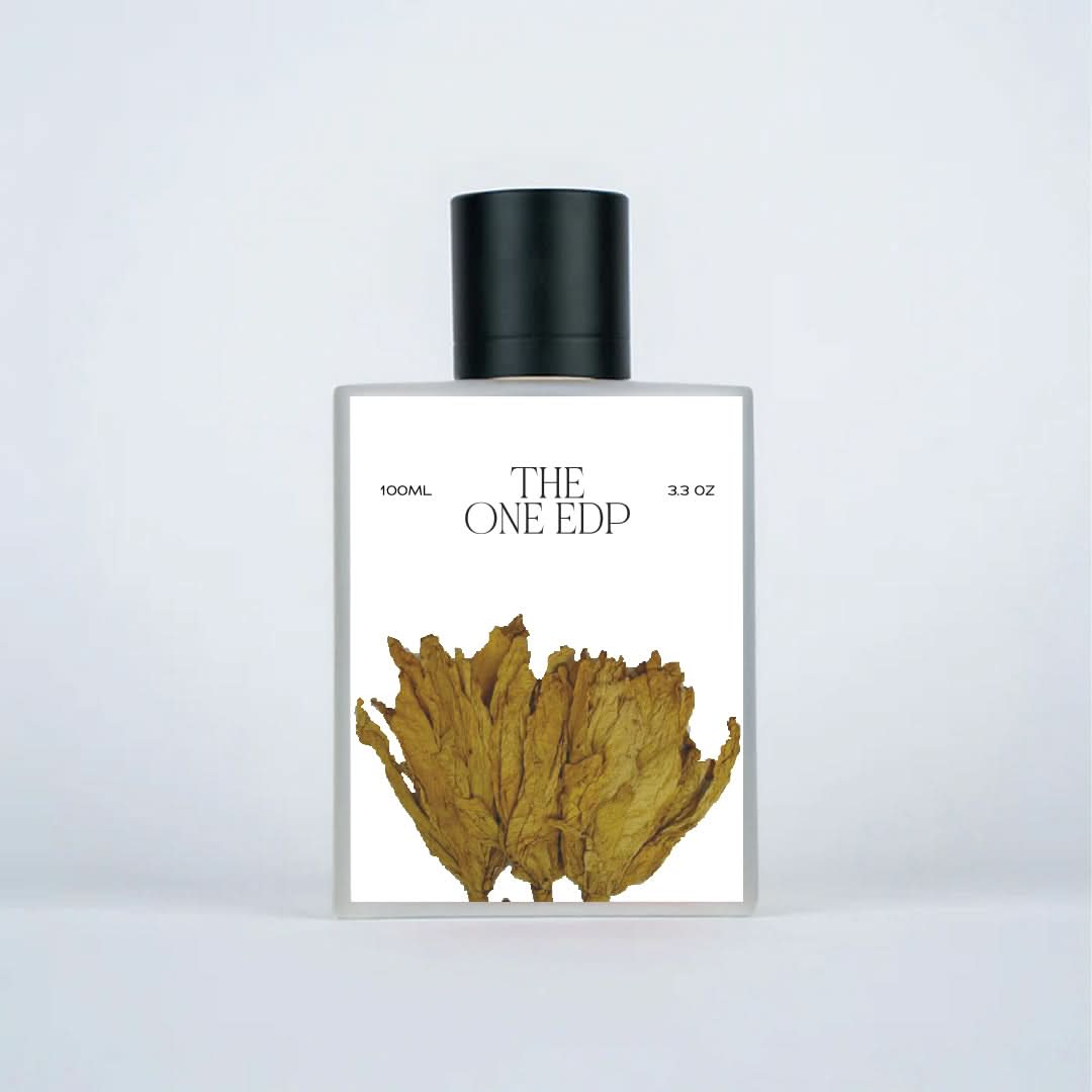 XP15 XLNC The One Edp by XLNC Perfumery - EDP perfume bottle