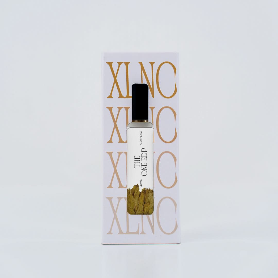 XP15 (Inspired by DandG The 0ne Edp) Worn by LeBr0n J@mes