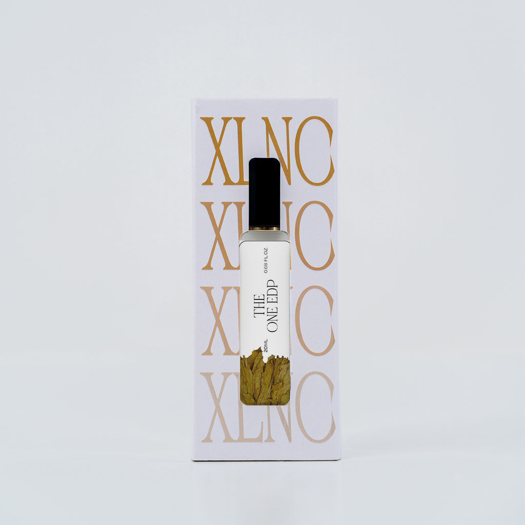 XP15 (Inspired by DandG The 0ne Edp) Worn by LeBr0n J@mes