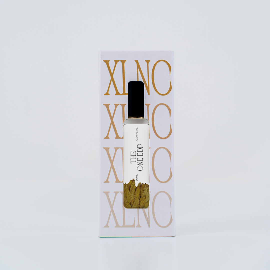 XP15 (Inspired by DandG The 0ne Edp) Worn by LeBr0n J@mes